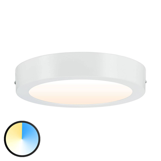 Paulmann Carpo LED-taklampa rund vit 22,5 cm vit