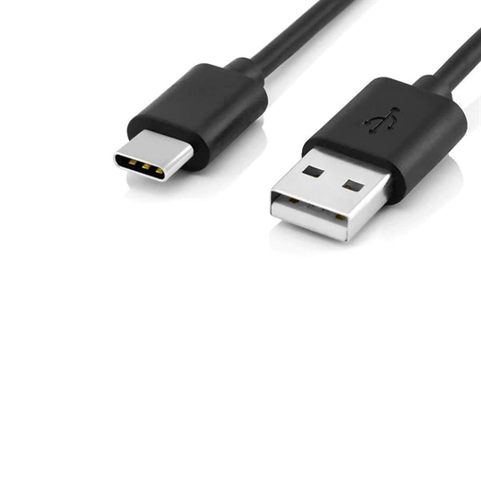 Reekin Laddningskabel USB-C för Nintendo Switch