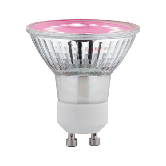 Paulmann LED-plantlampa GU10 Grow Green 3,5 W