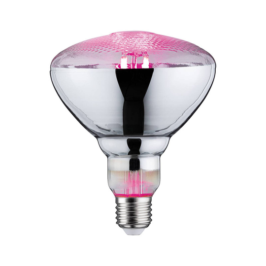 Paulmann LED-plantlampa E27 Grow Green 6,5 W