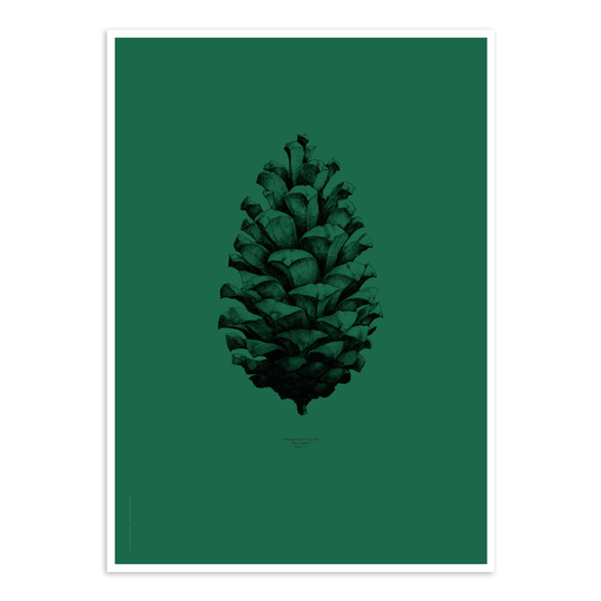 Nature 1:1 Pine Cone Dark Green