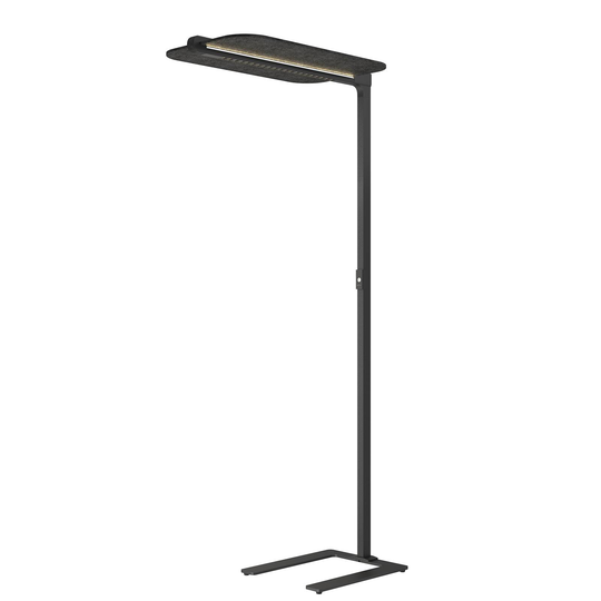 Arcchio Ameir LED-golvlampa till kontor, filt grå