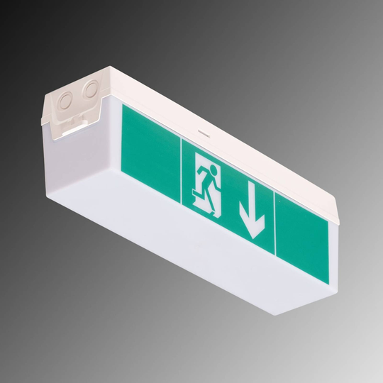 LED-nödbelysning C-Lux Standard, ett batteri