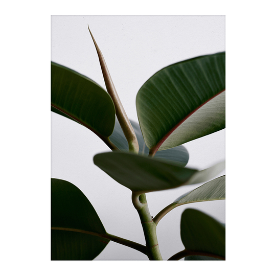 Green Home 02