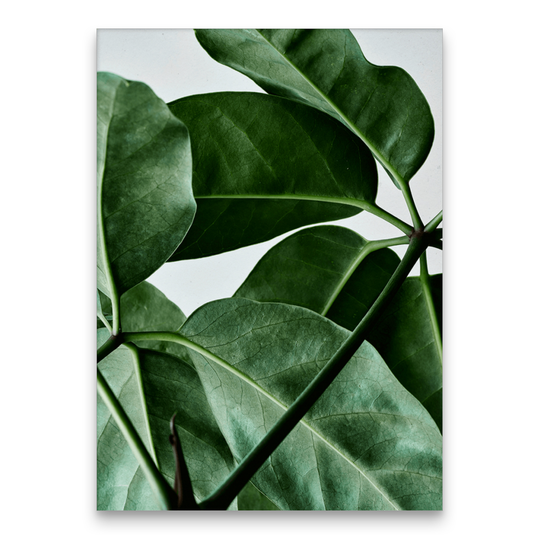 Green Home 01